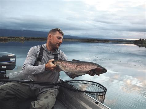 1467 Best Nymphs Images On Pholder Flyfishing Fairytaleas Fuck And Art
