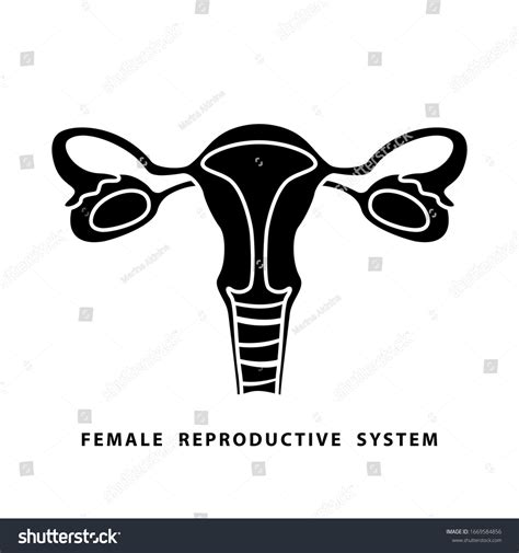 Cutout Silhouette Female Reproductive System Icon Stock Vector Royalty