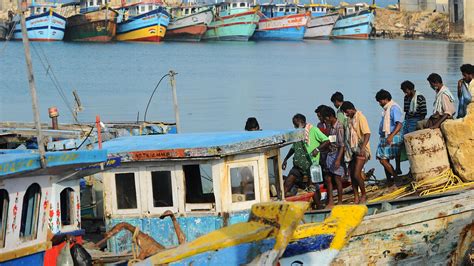 Cinq pêcheurs sri lankais meurent après avoir consommé le liquide dune