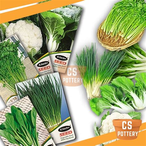 JC GARDEN VEGETABLE SERIES V18 V34 VEGETABLE SEED GARDENING PLANTING