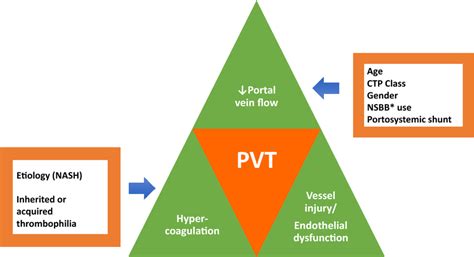 Development Of Non Tumoral Portal Vein Thrombosis Pvt Is Related To