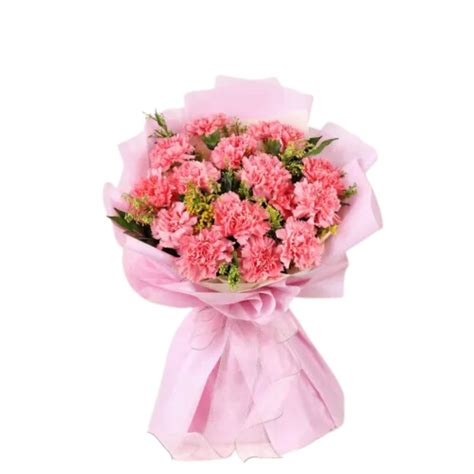 Elegant Carnations Bouquet – bigwishbox