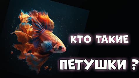 Кто такие аквариумные рыбки - ПЕТУШКИ? - YouTube