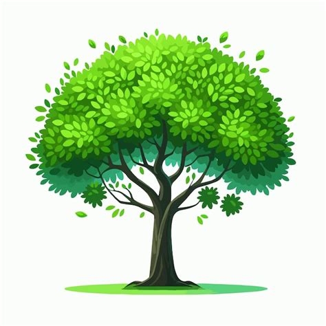 Premium Vector Green Tree Vector Illustration Isolated On White