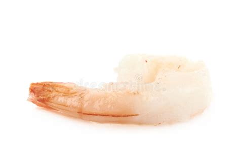 Single Shrimp Isolated Stock Photo Image Of Eating Healthy 91977784