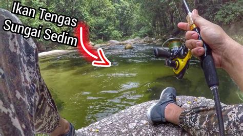 Memancing Ikan Tengas Di Jeram Ultralight Fishing YouTube