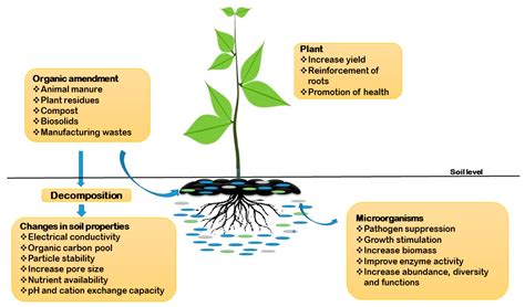 Agronomy Free Full Text Harnessing The Rhizosphere Soil Microbiome