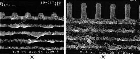review  pulse compression gratings  chirped pulse amplification system