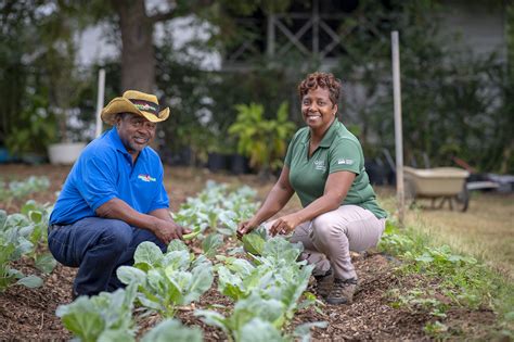 Community Gardens And Urban Farming Are Growing In Importance