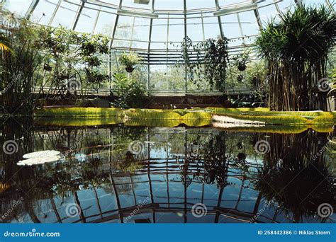 Water Pond Inside Greenhouse Stock Photo Image Of Courtyard