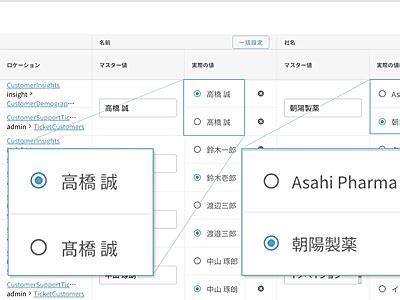 データ統合ツール新版Insight Governor 1 1大規模言語モデルで名寄せの精度を向上 IT Leaders