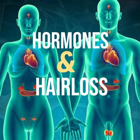 Hormones And Hair Loss Nar London