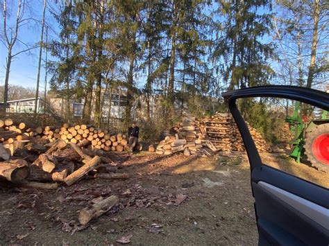 Bekannter Aus Dem Ort In Wald Orte Holz