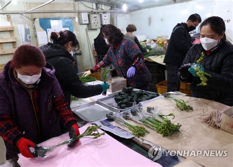 코로나19 장기화 속 온라인 판로 개척한 화훼 농가 연합뉴스