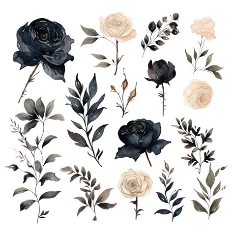 Dark Academia Clipart Pack Flower Black Watercolor Ai Generative