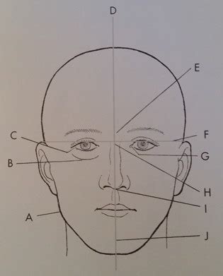 Procedures Final Exam Ii Diagram Quizlet