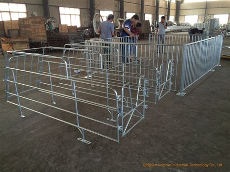 Gestation Crate For Pig Equipment Single Crate For Sow Hog Equipment