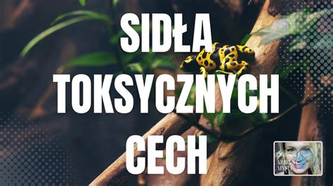 Czy Znajdujesz Sie W Sidlach Osoby O Cechach Toksycznych Czerwone