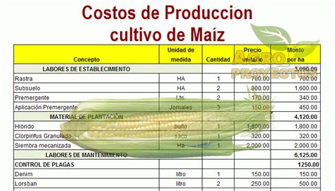 Costos De Produccion De Maiz Agroproyectos