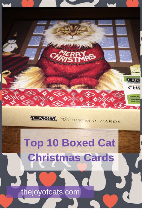 Top 10 Boxed Cat Christmas Cards Cat Christmas Cards Christmas Cats