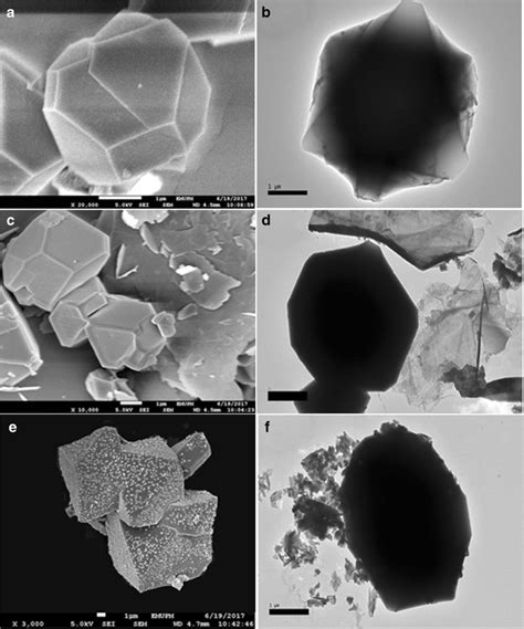 SEM A And TEM B Images Of MOF 199 SEM C And TEM D Images Of