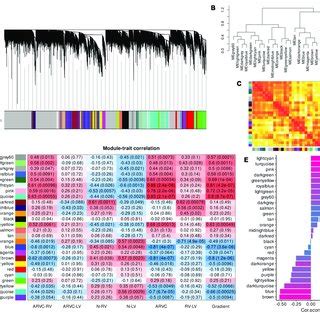 Co Expression Gene Modules Produced By Wgcna And Module Trait