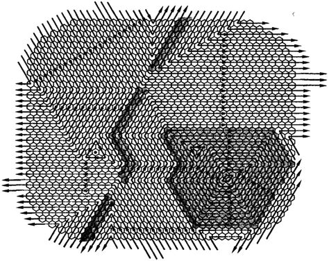 A Schematic Representation Of Phase Space The Hexagonal Cells