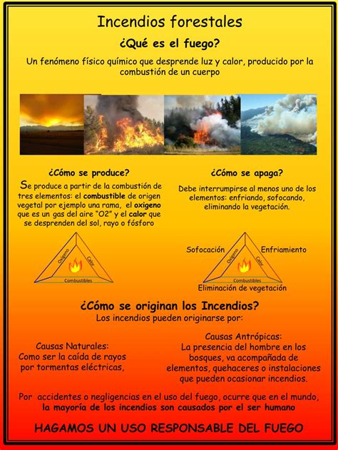 Ppt Incendios Forestales ¿qué Es El Fuego Powerpoint Presentation