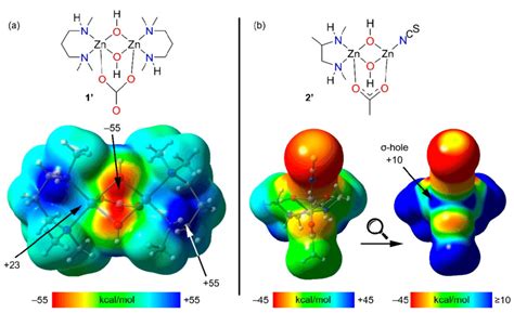 top model  compound  named    investigate