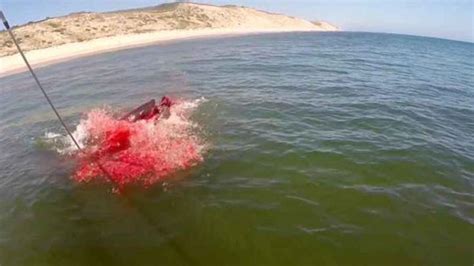 El Espectacular Ataque De Un Tiburón Blanco A Una Foca