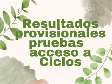 Resultados Provisionales De Las Pruebas De Acceso A Ciclos Formativos