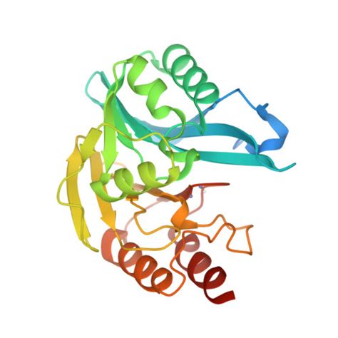 RCSB PDB 2Y87 Native VIM 7 Structural And Computational