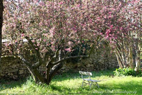 Provenceone Trip Is Not Enough Living With Thanksgiving