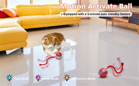 Iokheira Interactive Cat Toy Electric Automatic Toys For Indoor Cats