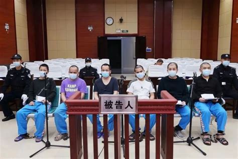 围观√9人获刑，涉案金额超 1 72亿！广西集中宣判4起走私高鼻羚羊角案件 腾讯新闻