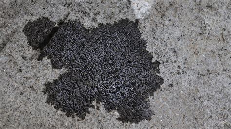 Remove Oil Stains From Concrete With Laundry Detergent