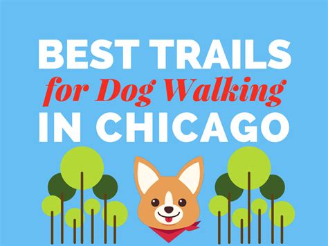 Best Trails for Dog Walking in Chicago