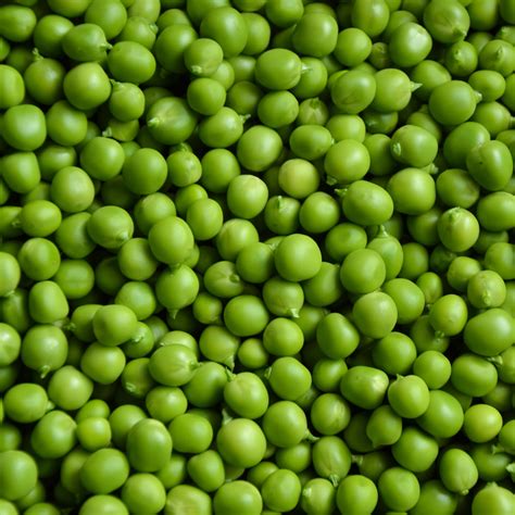 Green peas - Dancorp Exports