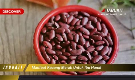 Temukan 7 Manfaat Kacang Merah Untuk Ibu Hamil Yang Bikin Kamu Penasaran