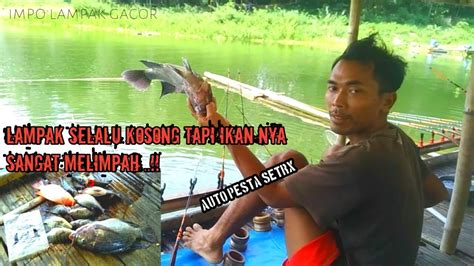 Lampak Nya Selalu Kosong Tapi Ikan Nya Sangat Melimpah Auto Pesta Setrx