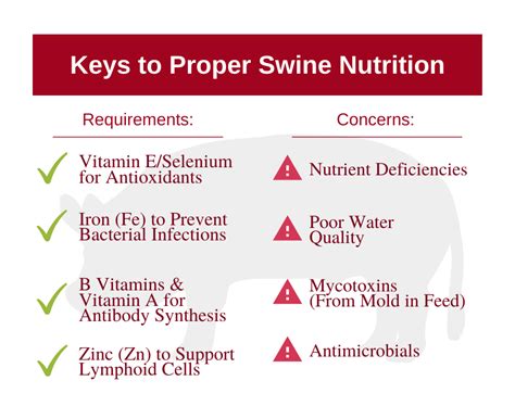 Nutrition Omnivores And Carnivores Veterinary Preventive Medicine