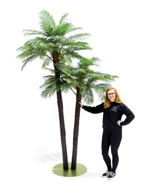 Double Headed Palm Tree Tall 32m Eph Creative Event Prop Hire