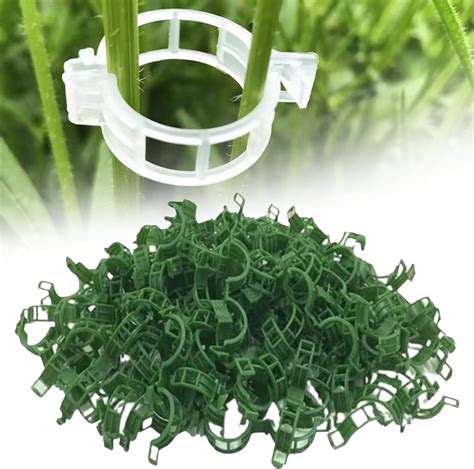 Secured Plastic Plant Clip 2024 Plant Support Clips Garden Clips For