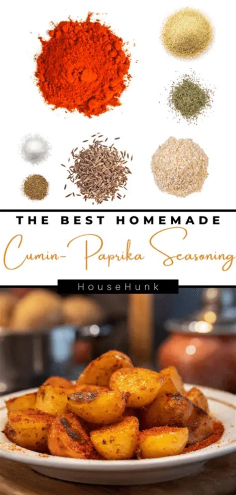 Homemade Cumin Paprika Seasoning House Hunk