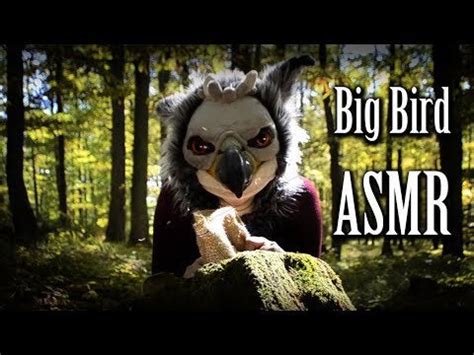 Big Bird ASMR - Hunting for mushrooms and leaves [intentional ...