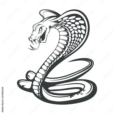 Black King Cobra logo. Snake Tattoo. Indian cobra illustration, drawing ...