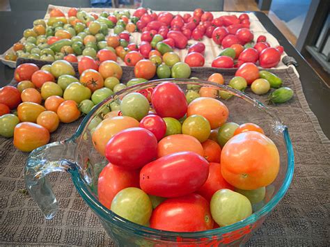 Red and Green Tomato Salsa Recipe - Food | Follow Ann