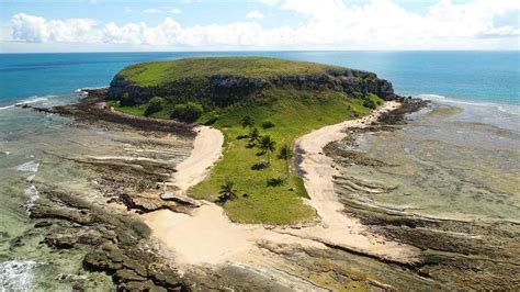 Parque Nacional Marinho Dos Abrolhos Um Tesouro Subaqu Tico