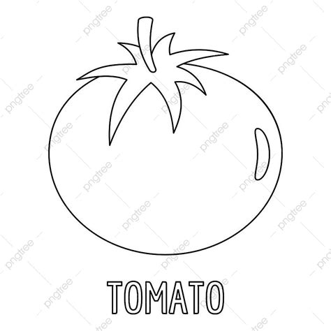 Tomato Illustration Vector PNG Images Tomato Icon Outline Vector