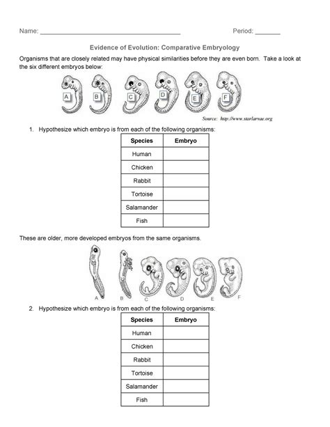 Evidence Of Evolution Comparative Embryology Name